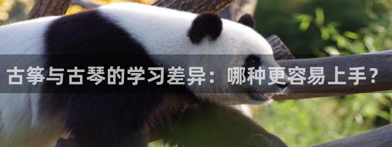 凯发正规网站:古筝与古琴的学习差异:哪种更容易上手?