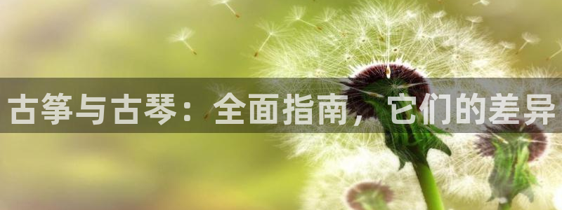 凯发国际平台首页:古筝与古琴:全面指南,它们的差异