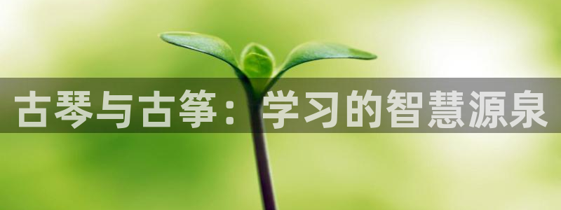 凯发k8旗舰厅app下载可靠送38元:古琴与古筝:学习的智慧